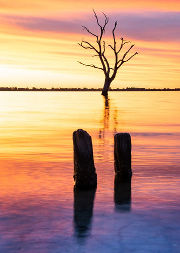 Pastels at Dusk
