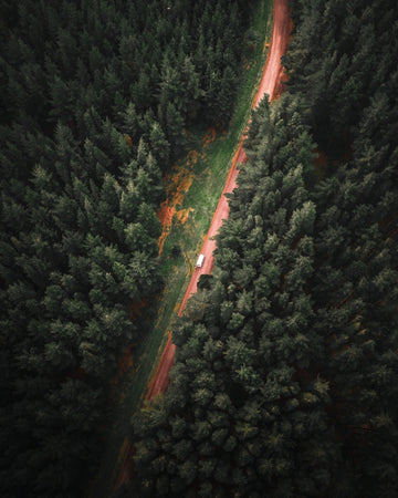Pathway