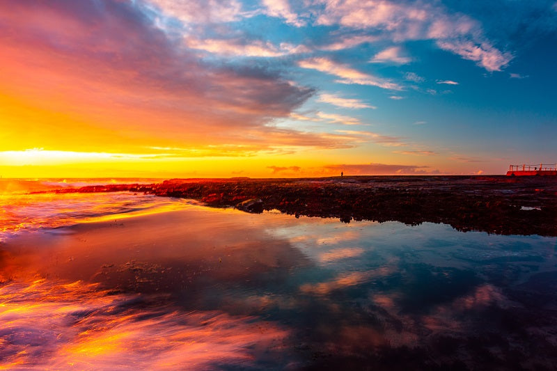 Pause and Reflect
