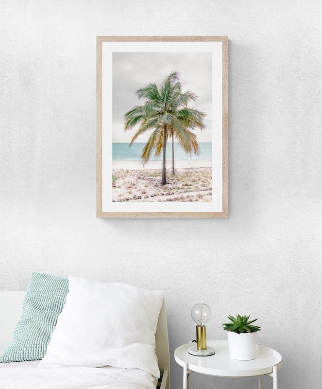 Percy Palm