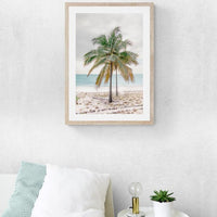Percy Palm