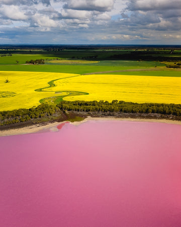 Pink Lake in Australia