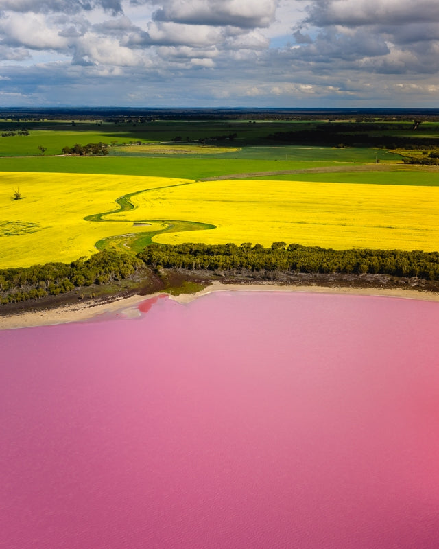 Pink Lake in Australia