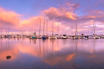 Pink Marina 02