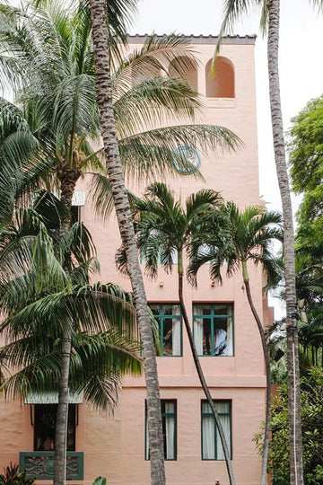 Pink Palm Resort