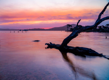 Pink Sky at Night