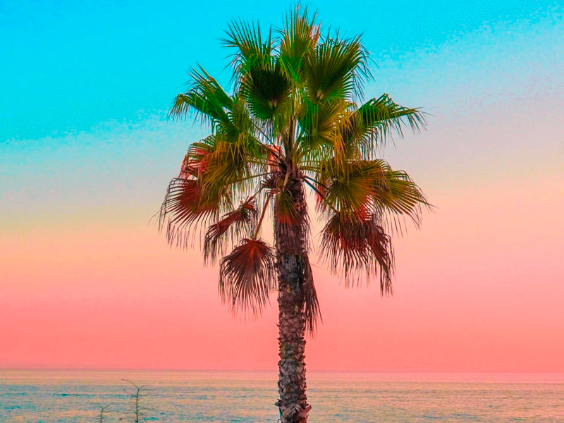 Pink skies