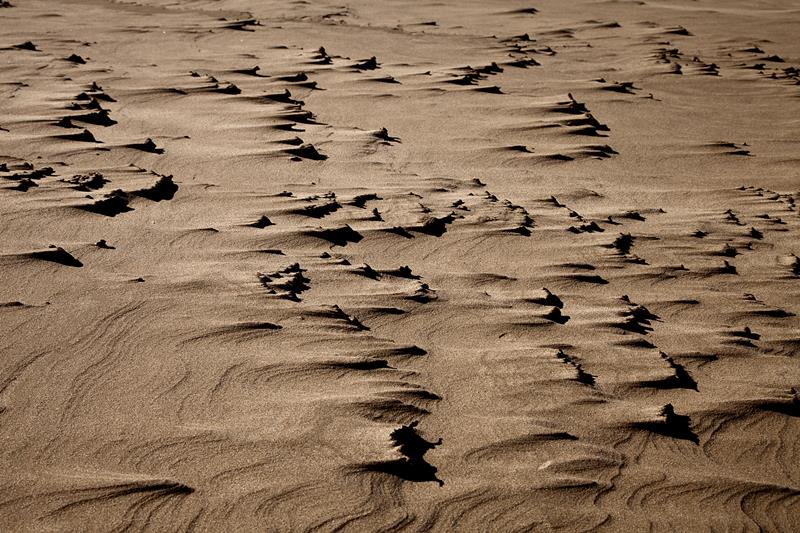 Pismo Beach, CA2