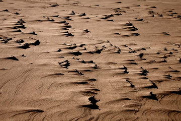 Pismo Beach, CA2