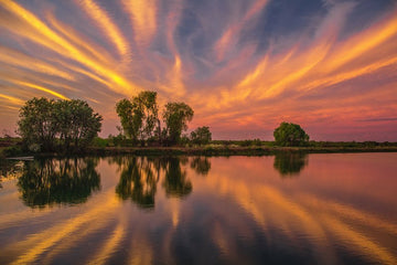 Pond Reflections