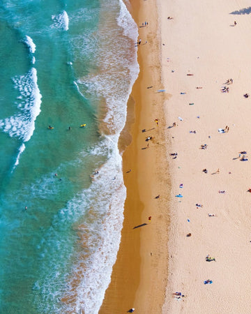 Queenscliff Beach
