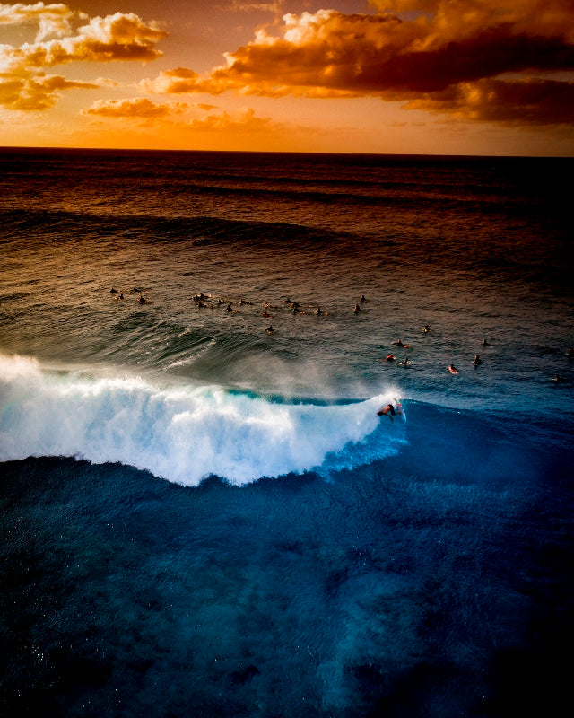 Pipe Dreams Vertical