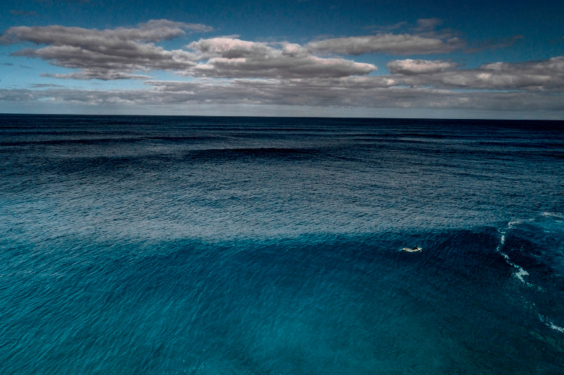 Solo Paddle