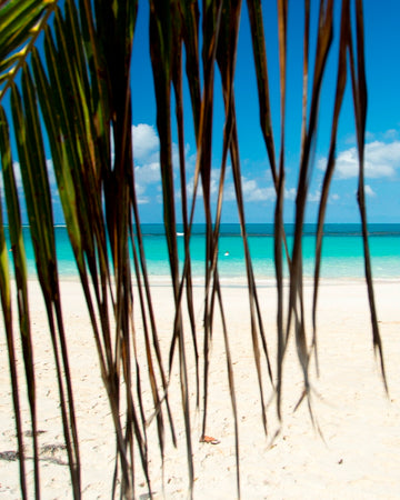 Tropical Bliss