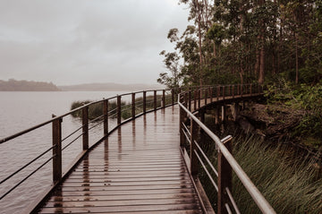 Rainy Day