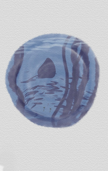 Ray Underwater