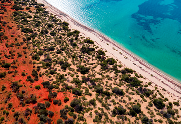 Red Coast