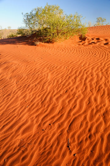 Red Desert