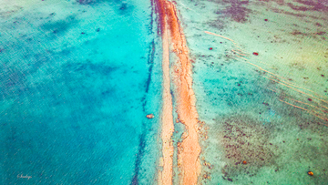 Reef Highway