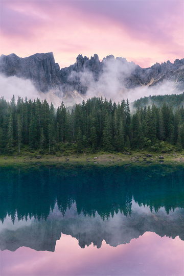 Reflective Beauty