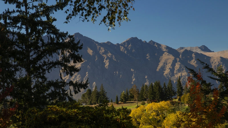 Remarkable Autumn Bloom