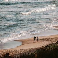 Beach Lovers