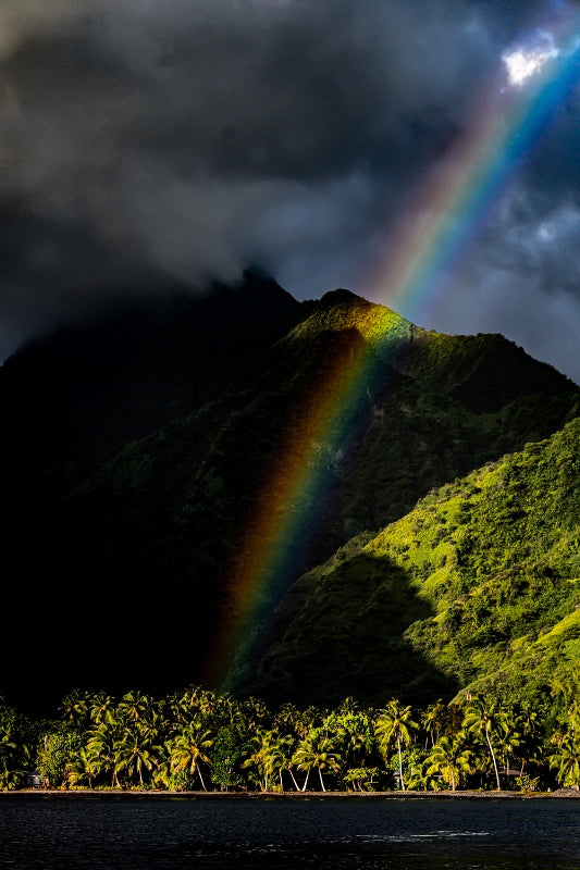 Tahitian Heaven