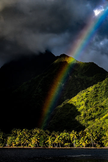 Tahitian Heaven