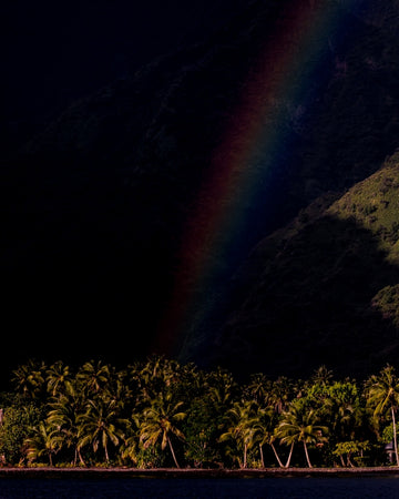 Tahitian Heaven Warm