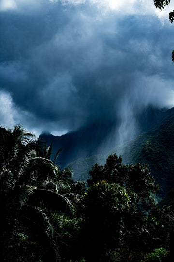 Tropical Rain