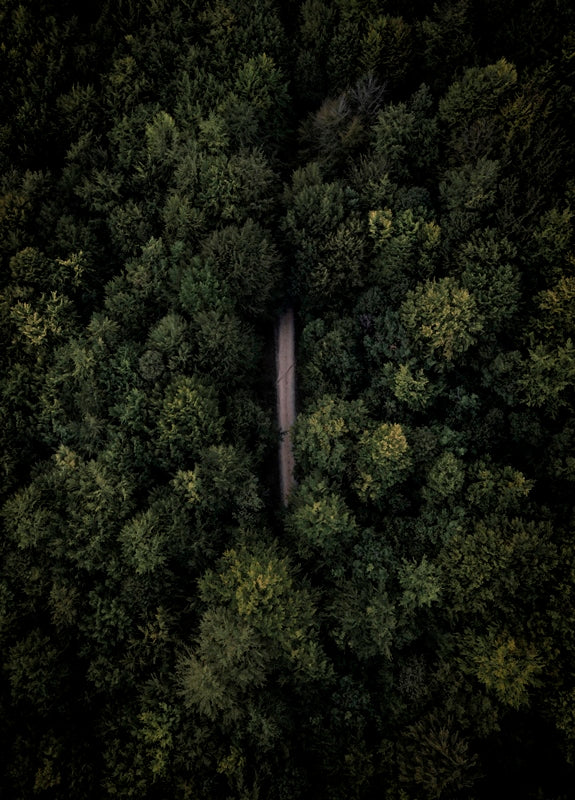 Road to Darkness