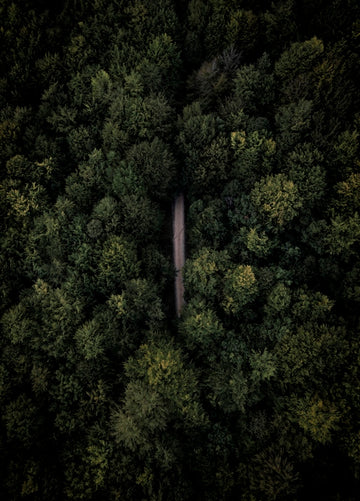 Road to Darkness