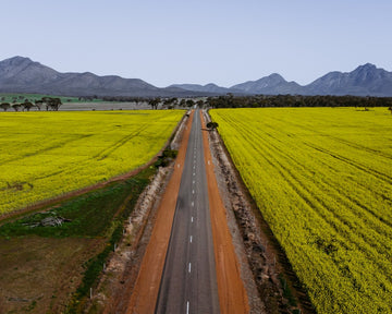 Road to the Ranges