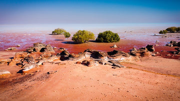 Roebuck Bay Low Tide