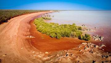 Roebuck Bay