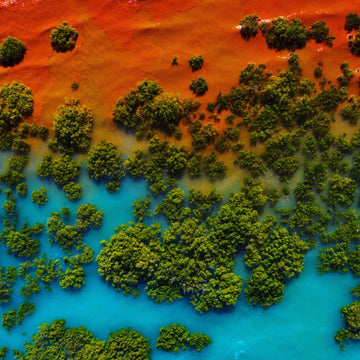 Roebuck Bay High Tide - topdown