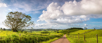 Rural Maleny