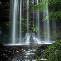 Russel Falls Tasmania