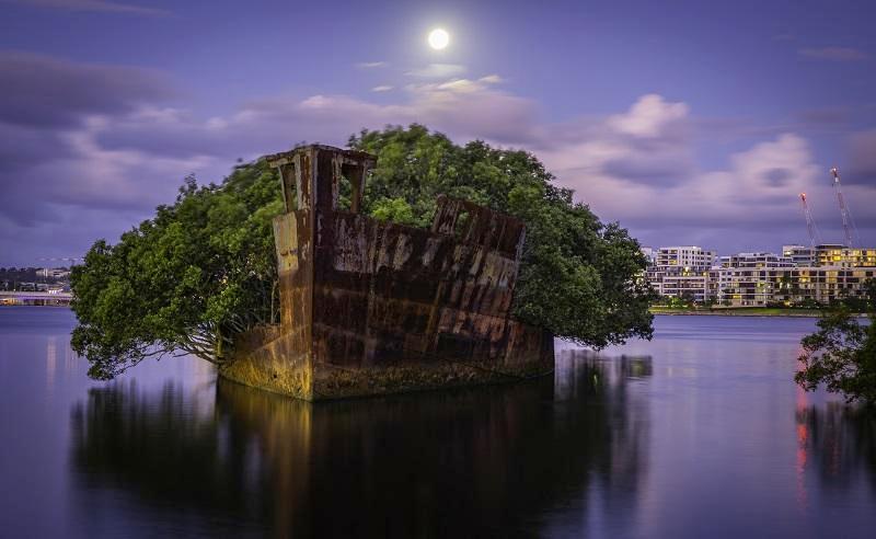Rust Never Sleeps (SS Ayrfield)