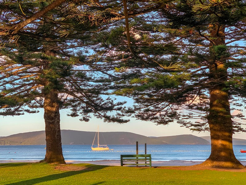 Sail Away