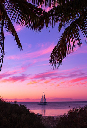 Sailing Monkey Mia