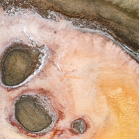 Salis