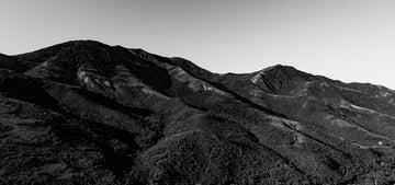 Salt Lake City BW