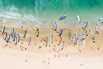 Saltwater Showdown