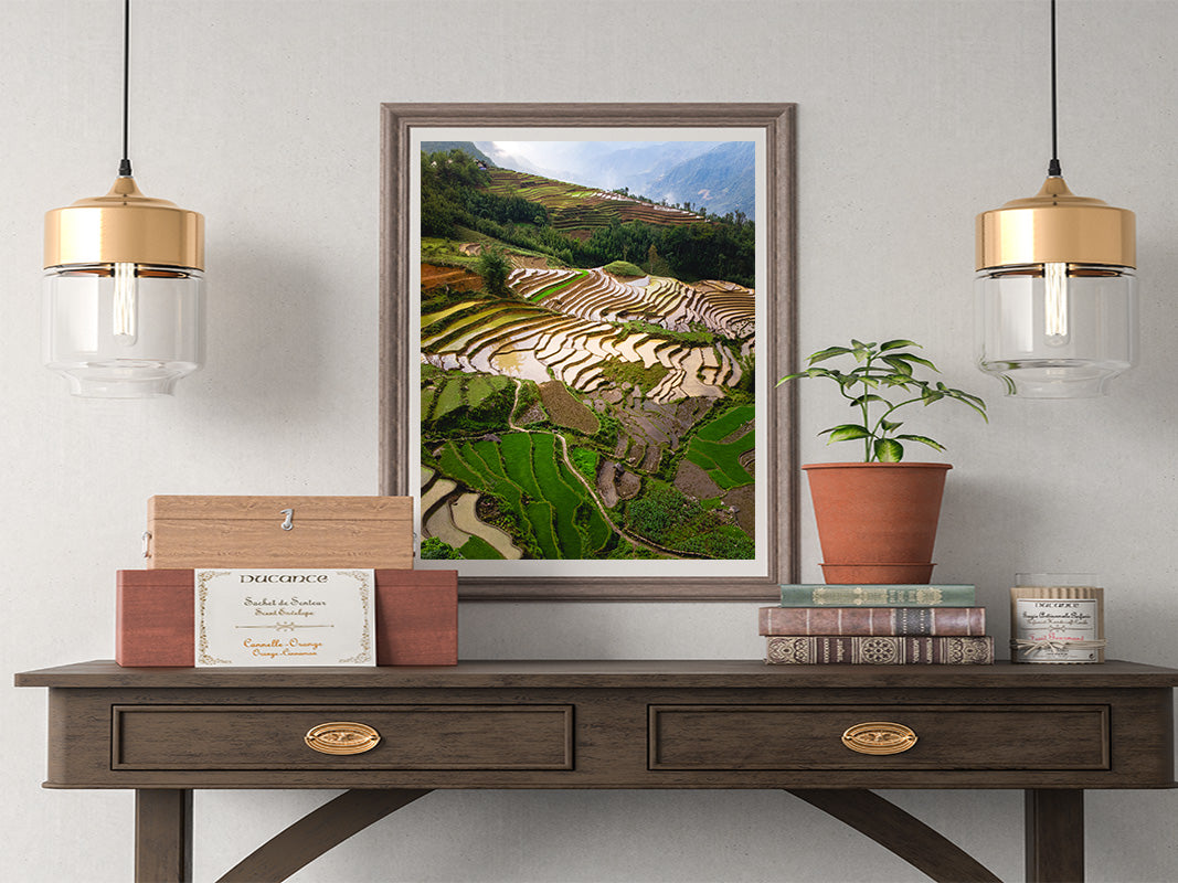 Sapa rice terraces in Vietnam