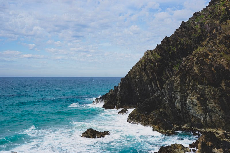 Savage Coast