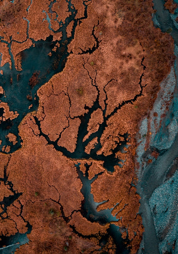 Scars Of Earth