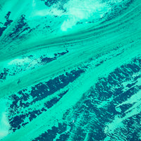 Sea Grass Shark Bay