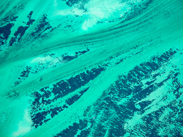 Sea Grass Shark Bay