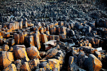 Sea Shore, Iceland